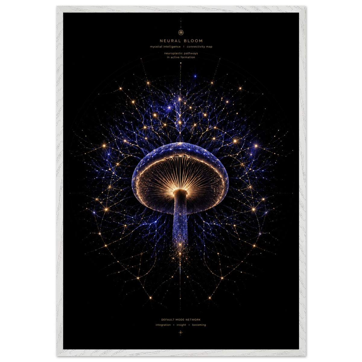 fd7c8344-6e4b-4d03-85c0-36597632736a