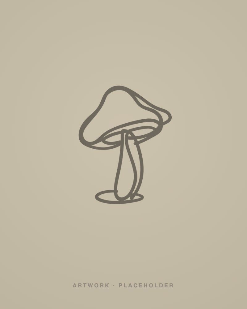 Neuroplasticity, the most over-used word in the field