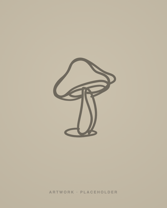Neuroplasticity, the most over-used word in the field