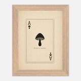 Ace of Spores print, framed and hung
