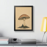 Shelter Print
