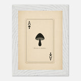 Ace of Spores print, framed and hung