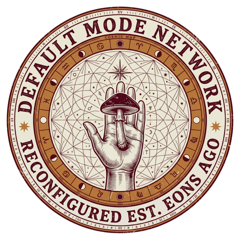 Default Mode Network Reconfigured T-Shirt artwork